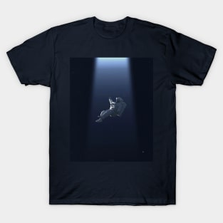 FROM THE HEAVENS. T-Shirt